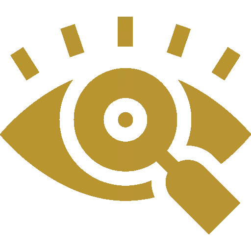 vision-img